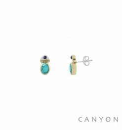 CANYON Sur Bijoux-Totem : Boucles D'oreilles Puces En Argent 925 !