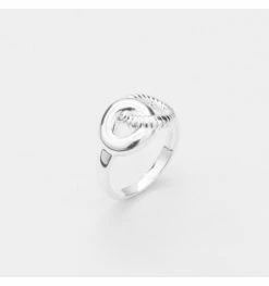 Bague 2 Anneaux Enlacés En Argent, Marque Canyon France | Bijoux Totem