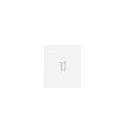 Boucles D'oreilles Circles En Acier, Marque Zag Bijoux | Bijoux Totem